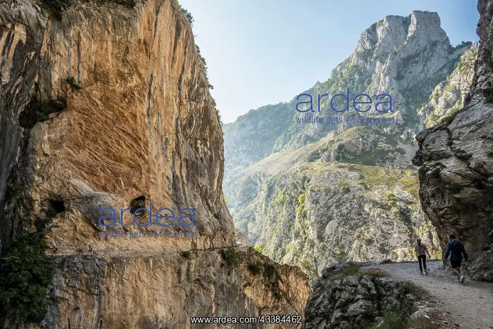 : Hiking trail through the Cares Gorge, Rio Cares : Hiking trail through the Cares Gorge, Rio Cares