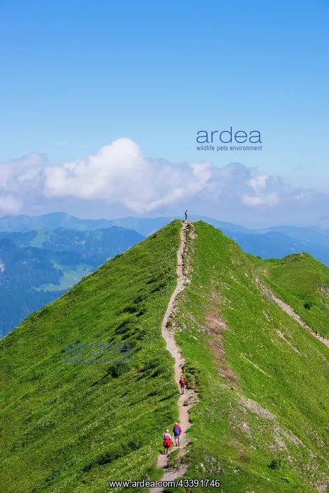 : Hiking trail from Fellhorn, 2038m, to Snllereck : Hiking trail from Fellhorn, 2038m, to Snllereck