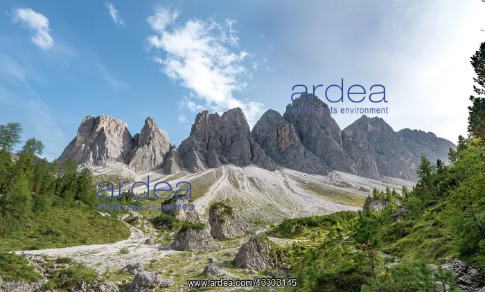 : Hiking trail to the Geisler Alm, Villn&, x1b3cf4;al : Hiking trail to the Geisler Alm, Villn&, x1b3cf4;al