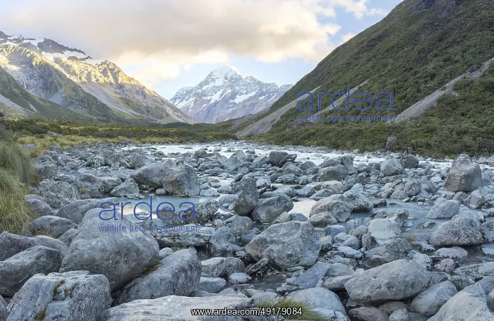  : Hiking trail of the Hooker Valley Track