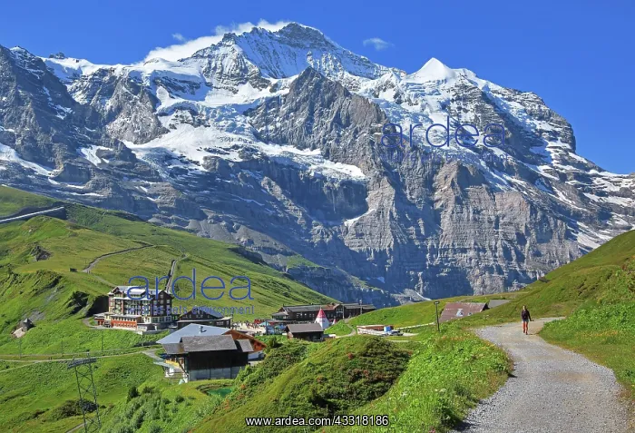 : Hiking trail on Kleine Scheidegg in front of the : Hiking trail on Kleine Scheidegg in front of the