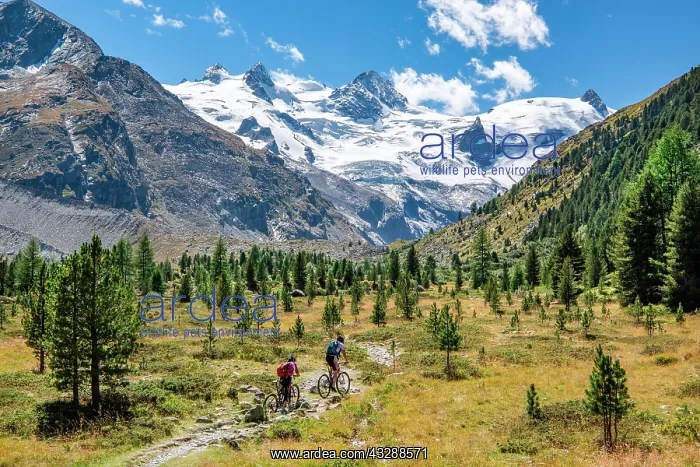 : Hiking trail and mountain biking in the Roseg Valley : Hiking trail and mountain biking in the Roseg Valley