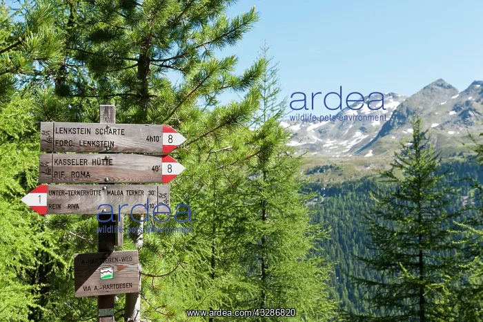 : Hiking trail with signpost, Arthur-Hartdegen-Weg : Hiking trail with signpost, Arthur-Hartdegen-Weg