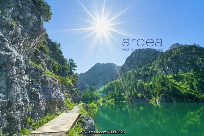 : Hiking trail at Tappenkarsee, sun star, mountain : Hiking trail at Tappenkarsee, sun star, mountain