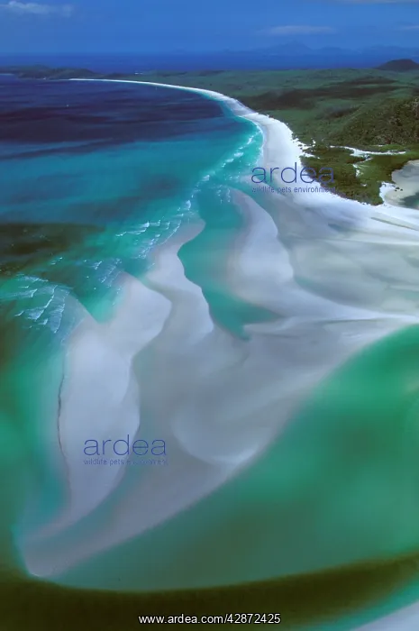: Hill Inlet, Whitehaven Beach : Hill Inlet, Whitehaven Beach