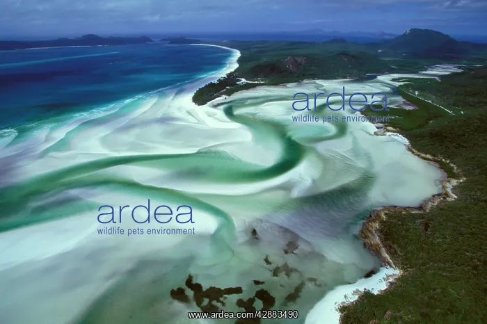 : Hill Inlet, Whitehaven Beach : Hill Inlet, Whitehaven Beach