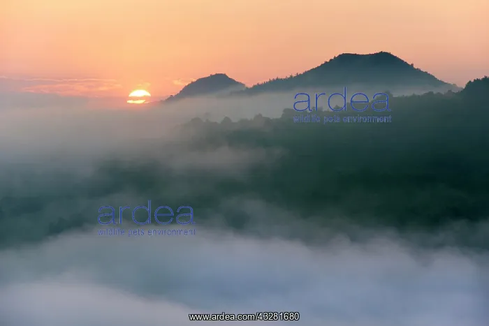 : Hill in the mist at sunrise, Central Bohemian Uplands : Hill in the mist at sunrise, Central Bohemian Uplands