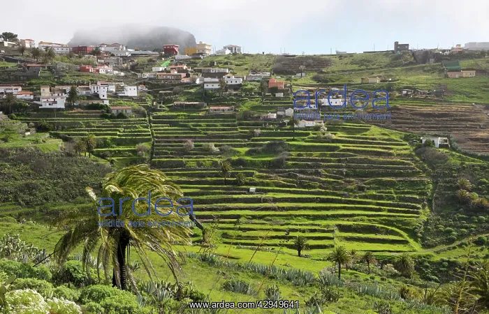 : Hill Town of Chipude. La Gomera, Canary Is : Hill Town of Chipude. La Gomera, Canary Is