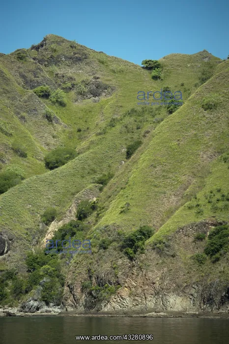 : Hills and coastline - Padar Island, Komodo National : Hills and coastline - Padar Island, Komodo National