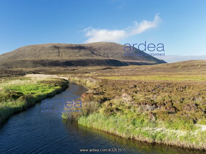 : The hills of North Hoy, seen from Rackwick : The hills of North Hoy, seen from Rackwick