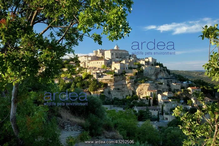 : Hilltop village of Gordes in the Luberon : Hilltop village of Gordes in the Luberon