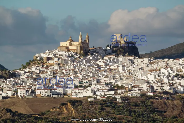 : The hilltop White Town of Olvera : The hilltop White Town of Olvera