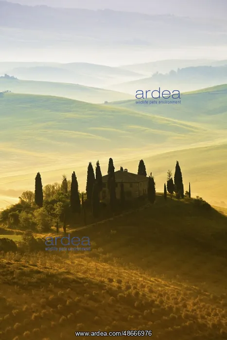 : Hilly landscape with manor house, Tuscany, Italy, Europe : Hilly landscape with manor house, Tuscany, Italy, Europe