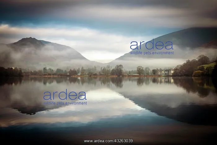: Hilly landscape with trees reflected in water surface : Hilly landscape with trees reflected in water surface