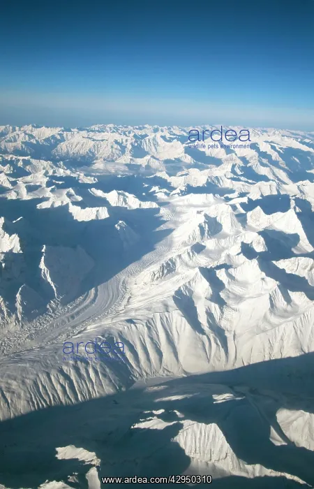 : Himalayan Glacier and peaks (from the air) : Himalayan Glacier and peaks (from the air)