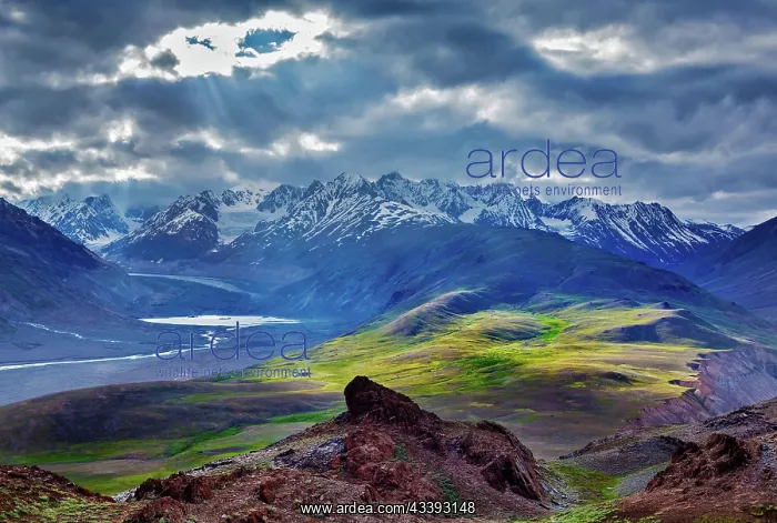 : Himalayan landscape near Chandra Tal lake with sun : Himalayan landscape near Chandra Tal lake with sun