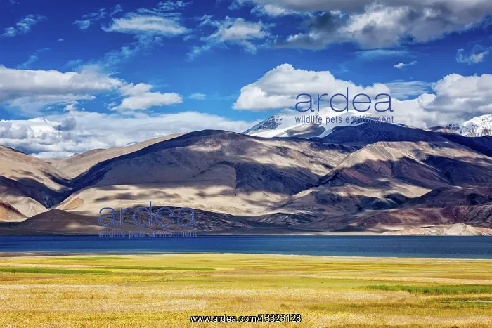 : Himalayan mountain lake Tso Moriri in Himalayas : Himalayan mountain lake Tso Moriri in Himalayas