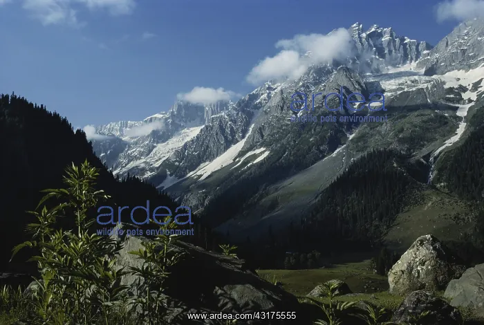 : Himalayas in India : Himalayas in India