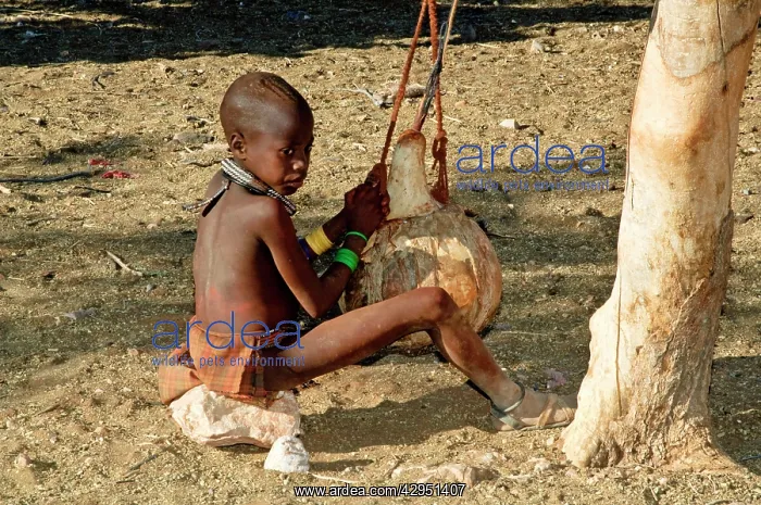 : Himba boy - churning milk : Himba boy - churning milk
