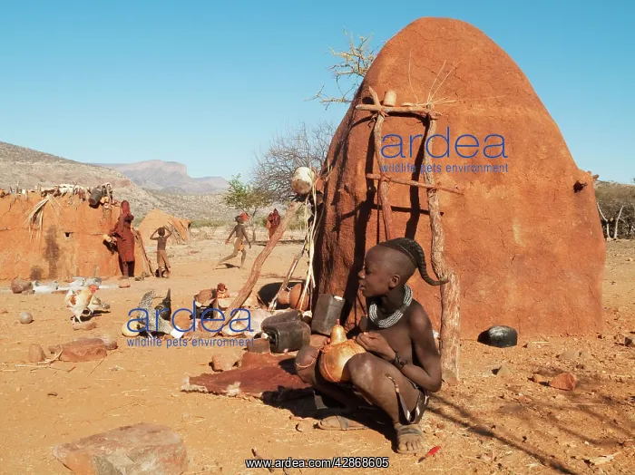  : Himba boy with the typical single plait hairstyle