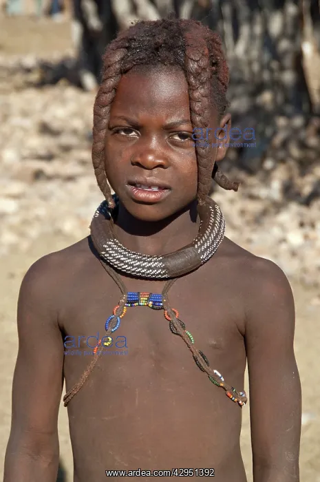 : Himba girl - portrait : Himba girl - portrait