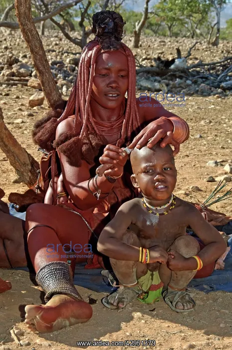 : Himba lady - shaving boys head with sheath knife : Himba lady - shaving boys head with sheath knife