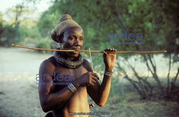 : Himba man playing a stringed instrument - the head : Himba man playing a stringed instrument - the head