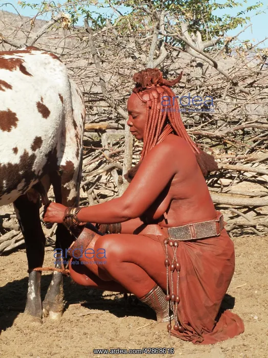 : Himba woman with the typical leather headdress : Himba woman with the typical leather headdress