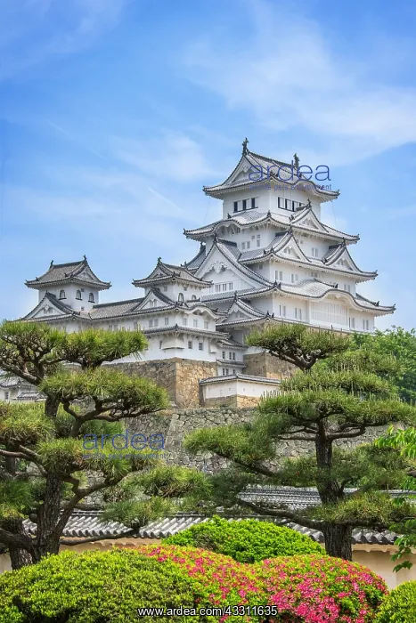 : Himeji's castle under azalea in full blum, Japan : Himeji's castle under azalea in full blum, Japan