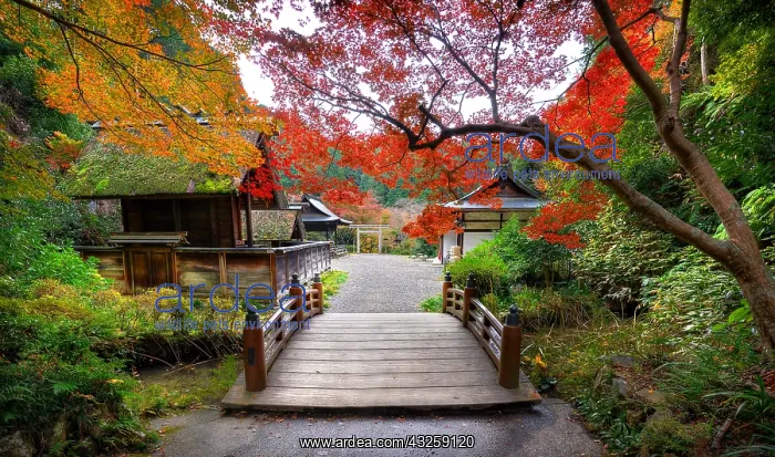 : Himukai jinja temple in autumn in Ky&, x134bec; Japan : Himukai jinja temple in autumn in Ky&, x134bec; Japan