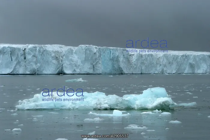  : Hinlopen Glacier - and ice floes