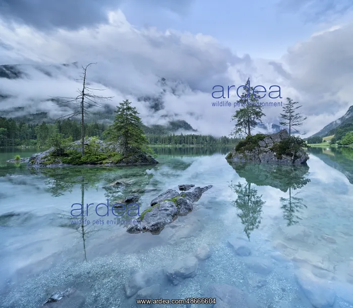 : At the Hintersee, low-hanging clouds cover the mountains : At the Hintersee, low-hanging clouds cover the mountains