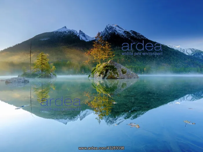 : Hintersee with morning fog at sunrise, water reflection : Hintersee with morning fog at sunrise, water reflection