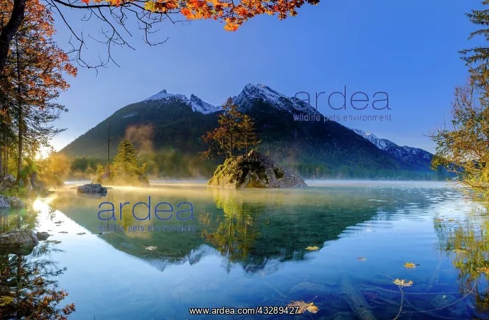 : Hintersee with morning fog at sunrise, water reflection : Hintersee with morning fog at sunrise, water reflection