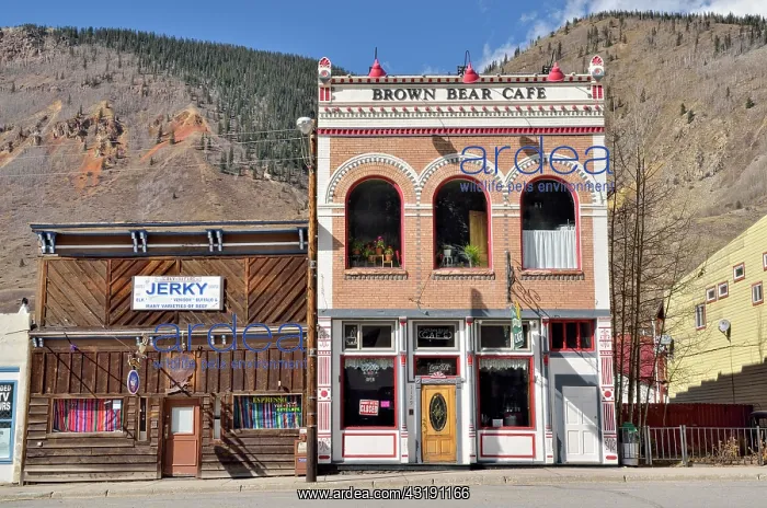 : Historic buildings, silver mining town of Silverton : Historic buildings, silver mining town of Silverton