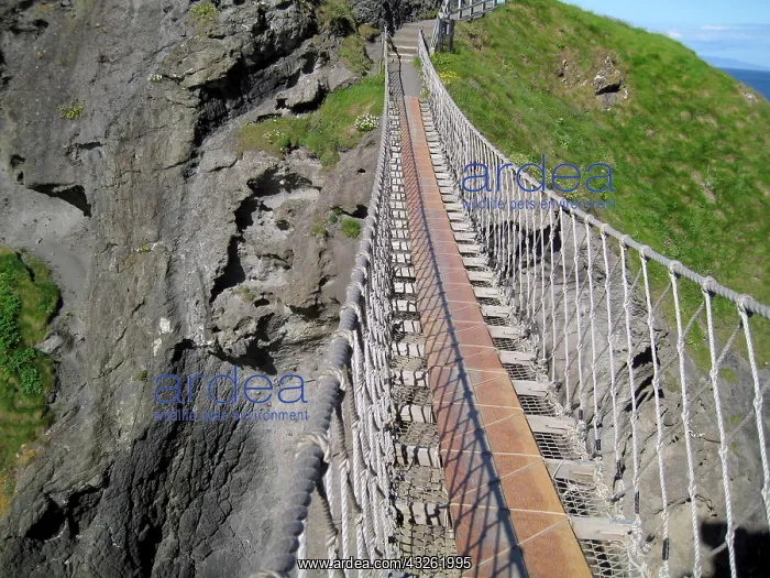 : Historic Carrick-a-rede rope bridge, Northern : Historic Carrick-a-rede rope bridge, Northern