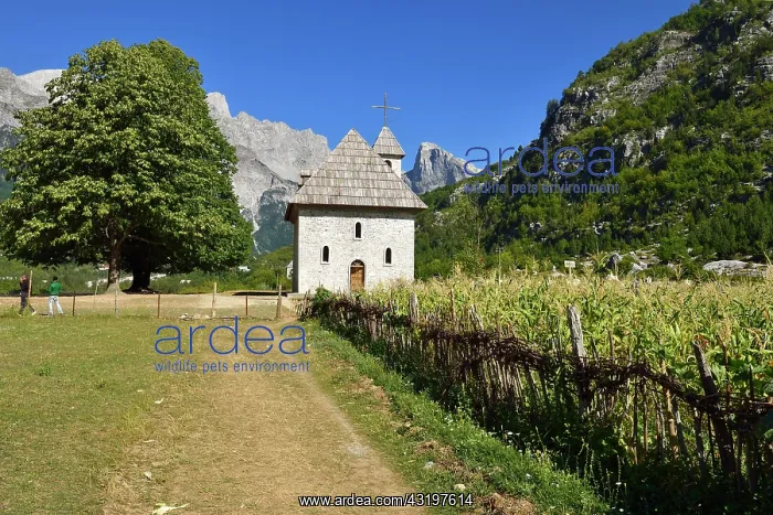 : Historic Catholic church in Theth National Park : Historic Catholic church in Theth National Park