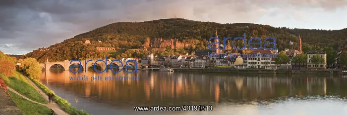  : Historic centre of Heidelberg with castle ruins