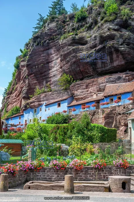 : Historic cliff dwellings, Maison des rochers, in t : Historic cliff dwellings, Maison des rochers, in t