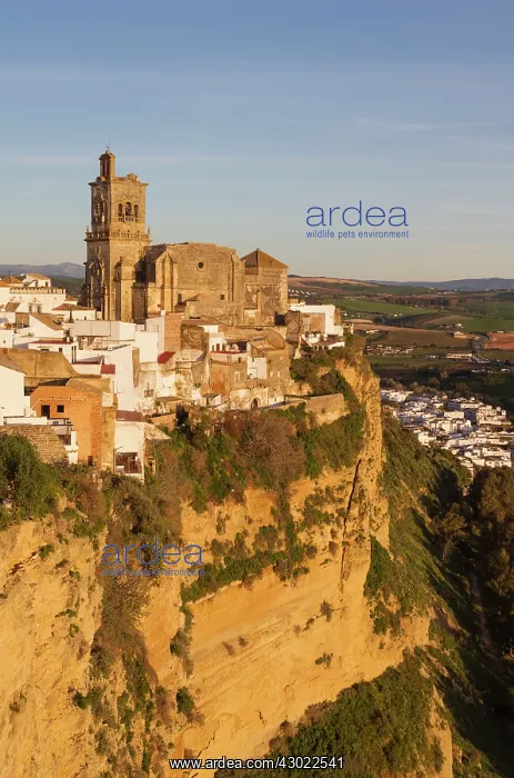: The historic district of the White Town of Arcos de la Front : The historic district of the White Town of Arcos de la Front
