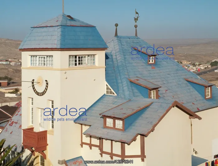 : The historic Goerke House (built in 1909) is one : The historic Goerke House (built in 1909) is one