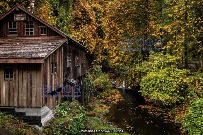 : Historic grist mill over Cedar Creek in Woodland, Washington : Historic grist mill over Cedar Creek in Woodland, Washington