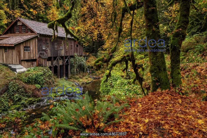 : Historic grist mill over Cedar Creek in Woodland, Washington : Historic grist mill over Cedar Creek in Woodland, Washington