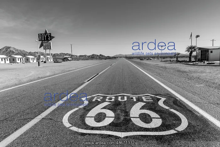 : Historic Highway 66 in Amboy, California, USA. (Editorial : Historic Highway 66 in Amboy, California, USA. (Editorial