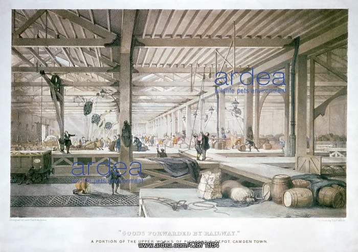 : Historic Litho Print - Railway goods depot cranes : Historic Litho Print - Railway goods depot cranes