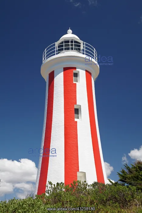 : Historic Mersey Bluff Lighthouse (1889) : Historic Mersey Bluff Lighthouse (1889)