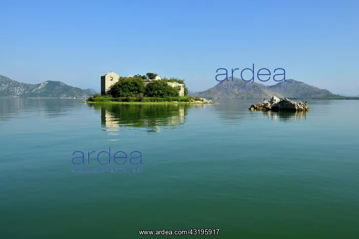 : Historic Ottoman fortress on Grmozur Island, Lake : Historic Ottoman fortress on Grmozur Island, Lake