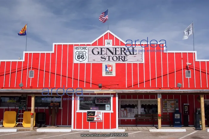 : Historic Seligman - brightly painted General Store : Historic Seligman - brightly painted General Store