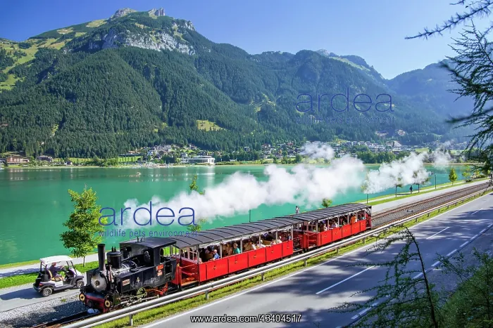 : Historic steam cogwheel railway, Achensee railway : Historic steam cogwheel railway, Achensee railway