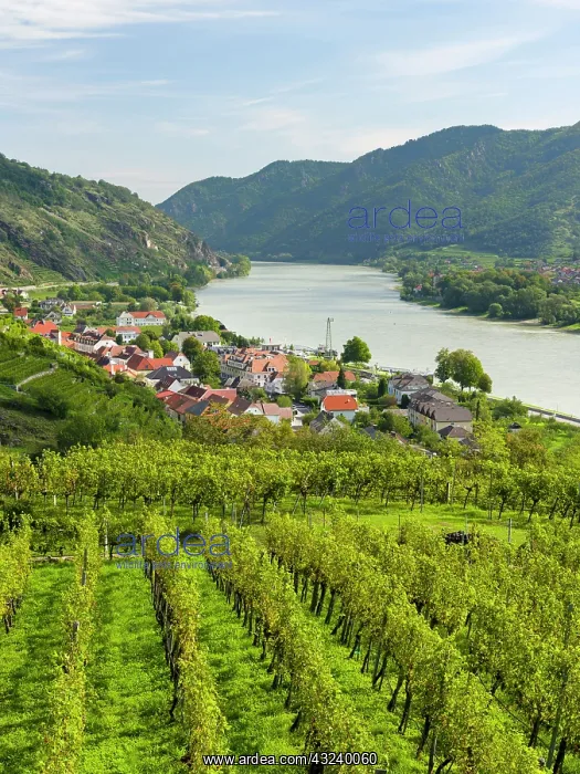  : Historic village Spitz located in wine-growing area